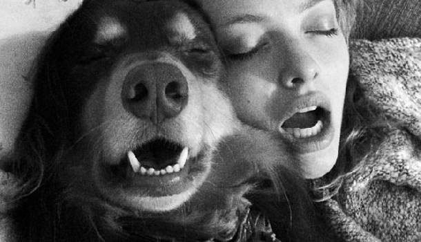 Borítókép: Láttátok már Amanda Seyfried szépséges kutyáját? 