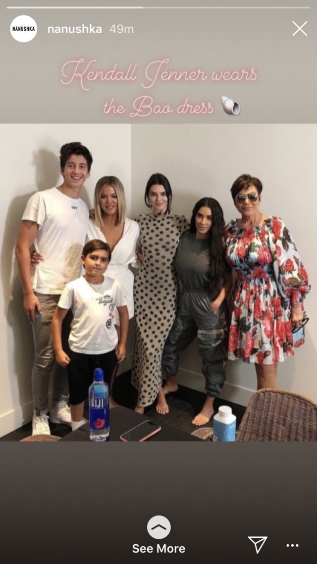 kendall jenner,nanushka,kendall jenner nanushka