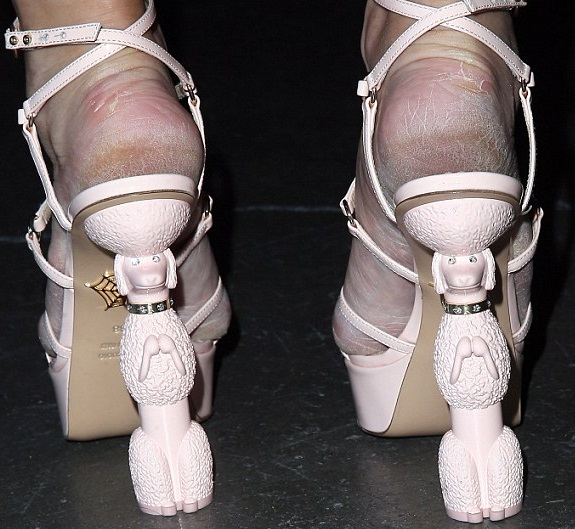 Holly Madison,Charlotte Olympia,uszkár