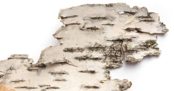 Borítókép: A tájolók legfontosabb alkatrészei és a gyakorlati hasznosságuk szerepe