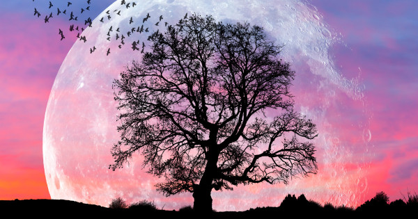 Borítókép: A novemberi telihold káoszt hoz magával: mutatjuk, hogyan hat az egyes zodiákusokra