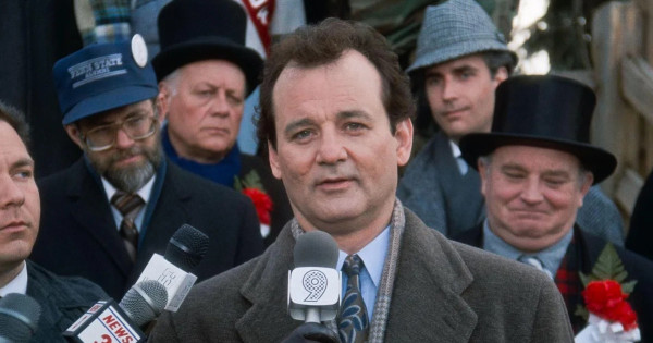 Borítókép: Bill Murray-t kétszer is megharapta a filmbeli társa - aztán kiderült az igazság